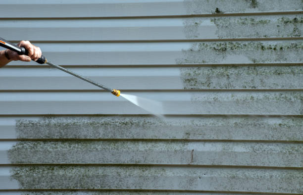 Best Rust Removal  in Stockbridge, MI
