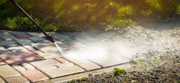 Best Warehouse Cleaning  in Stockbridge, MI