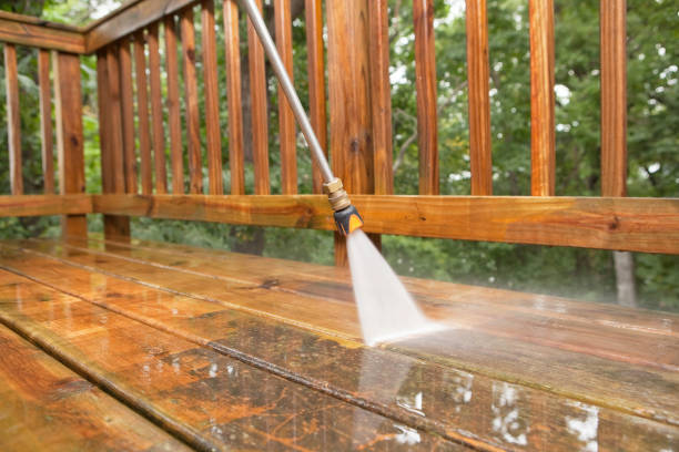 Best Sidewalk and Walkway Cleaning  in Stockbridge, MI